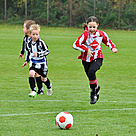 2012-11-03 11.22.06 DSC_2590